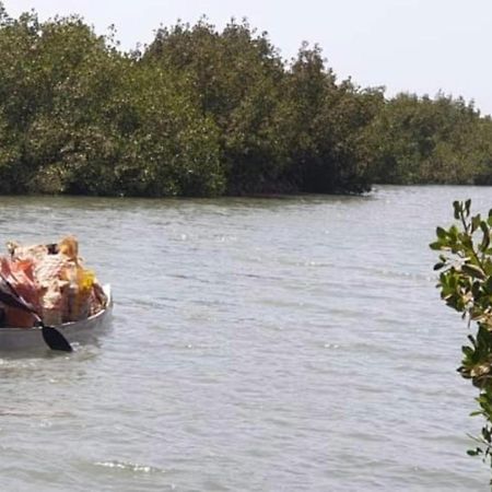 Mangrove Beach Sanyang Εξωτερικό φωτογραφία