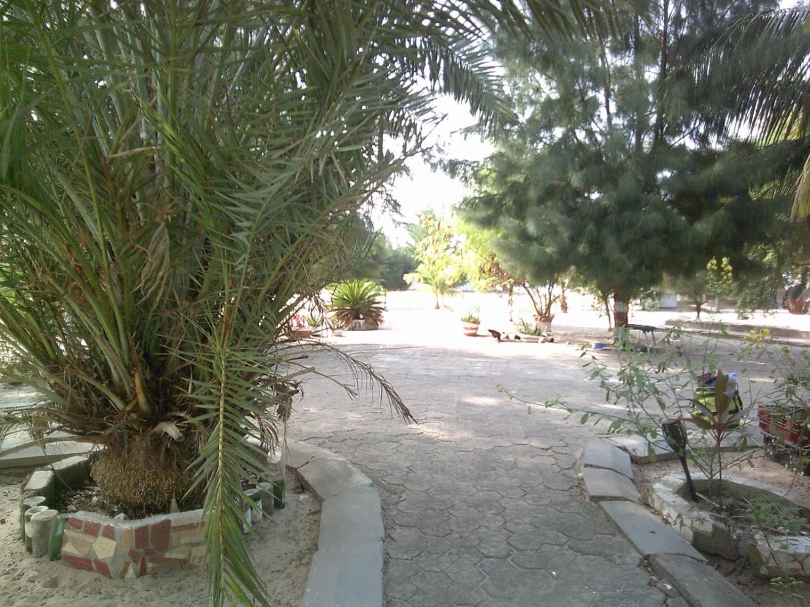 Mangrove Beach Sanyang Εξωτερικό φωτογραφία