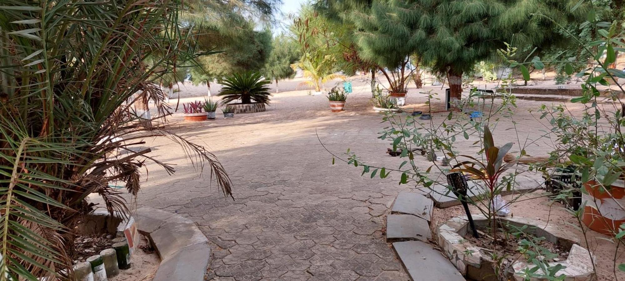 Mangrove Beach Sanyang Εξωτερικό φωτογραφία