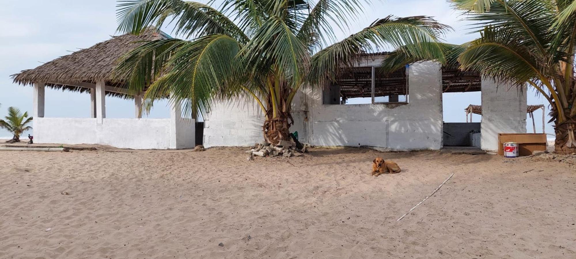 Mangrove Beach Sanyang Εξωτερικό φωτογραφία